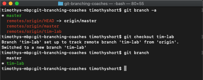 Git Checkout