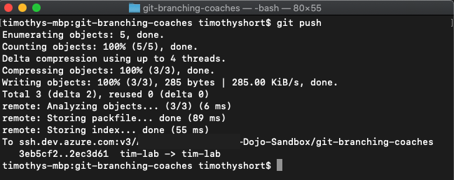 Git Push